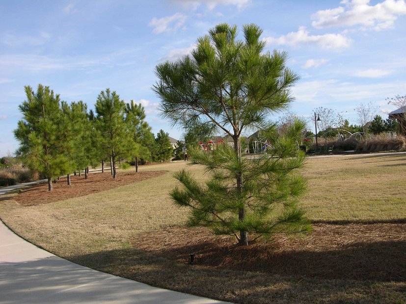 Water Haven Park Lakeland Haven Drive Cypress (5)